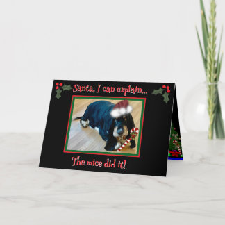 Folded Greeting Card