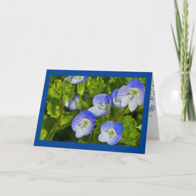 Folded Greeting Card (Front)