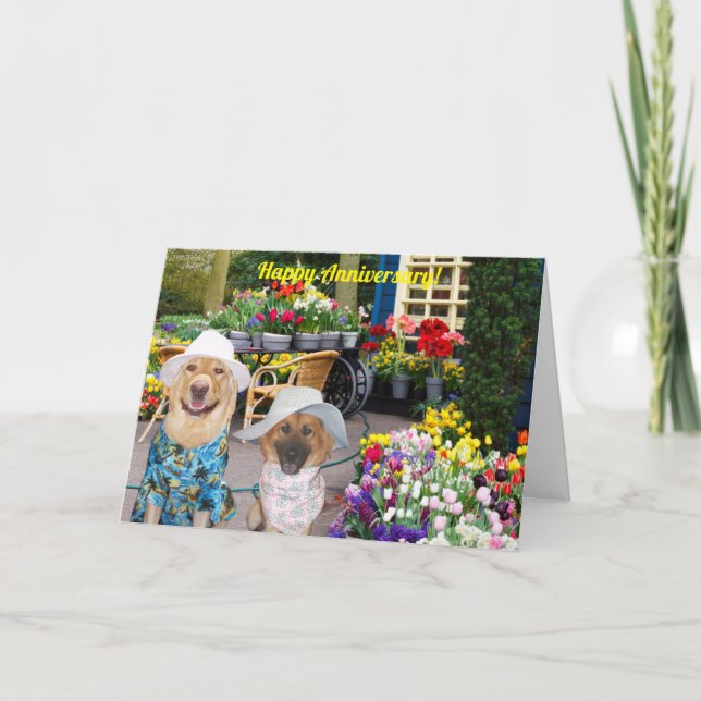 Folded Greeting Card (Front)