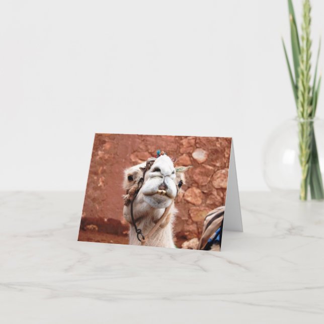 Folded Greeting Card - Camel in Morocco (Front)