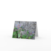 Folded Greeting Card - Herculaneum