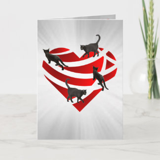 Folded Greeting Card With Cats