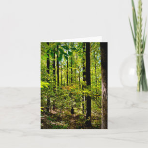 Folded greeting card with forest hiking motif