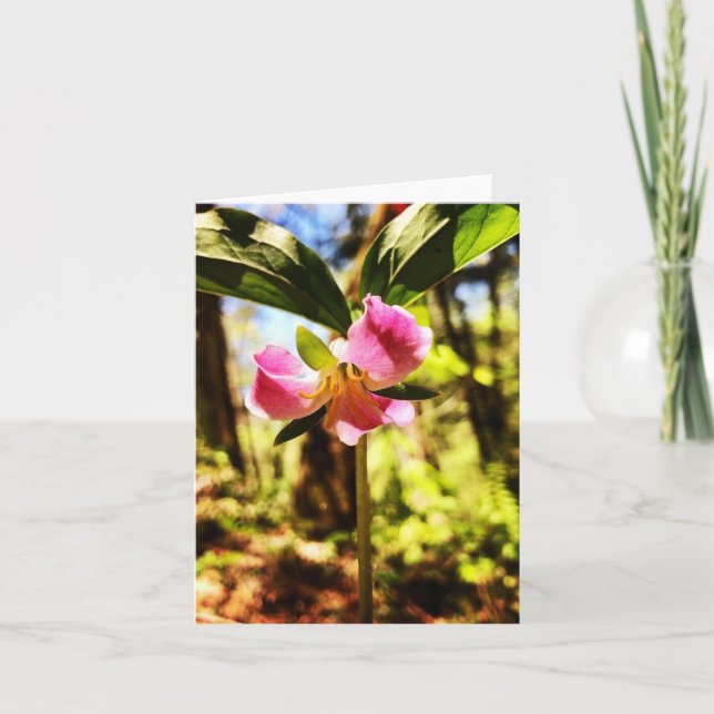 Folded greeting card with wildflower photo (Front)