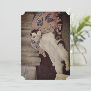 Folded Note Card With Cat Relaxing