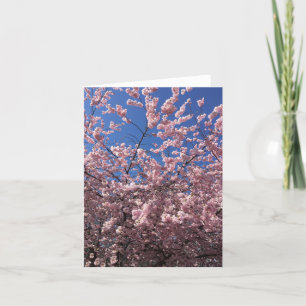 FOLDED NOTECARD - PINK SPRING