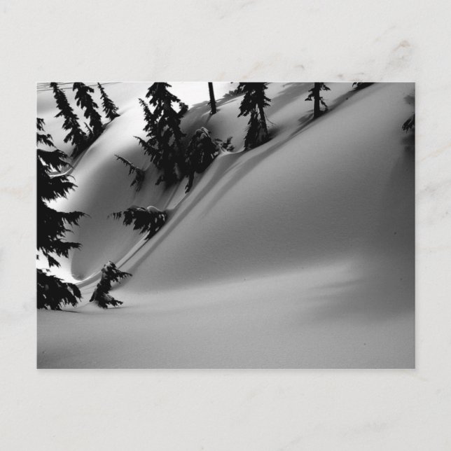 Folded Space Postcard (Front)