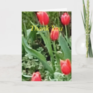 Folded Thank You Card
