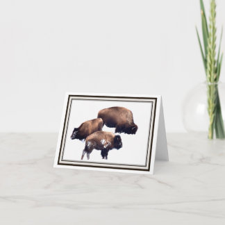Folding Greeting Card - Bison in Winter
