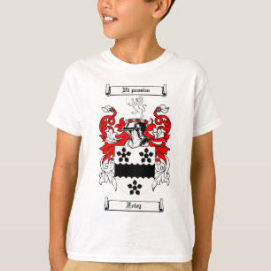 FOLEY FAMILY CREST -  FOLEY COAT OF ARMS T-Shirt