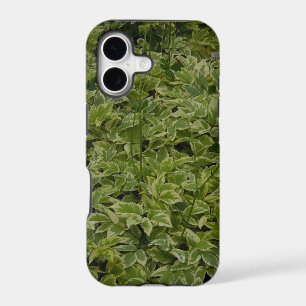 Foliage