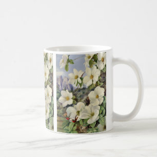 Foliage and Flowers of the California Dogwood Coffee Mug