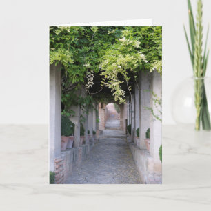 Foliage Covered Walkway, Spain Card