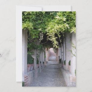 Foliage Covered Walkway, Spain Thank You Card