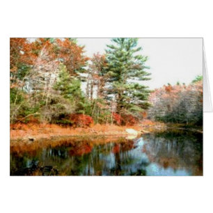 Foliage in Peak Colours