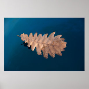 Foliage Poster