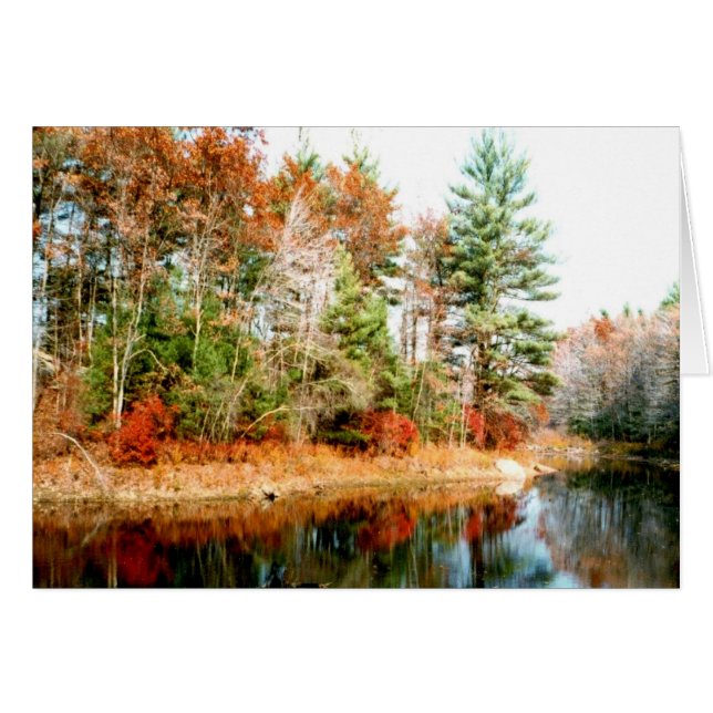 Foliage Reflections Lakeview (Front Horizontal)