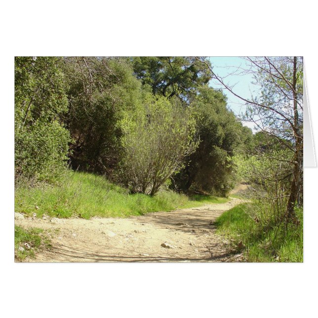 Follow Me (Front Horizontal)