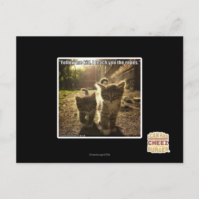 Follow Me Kid Postcard (Front)