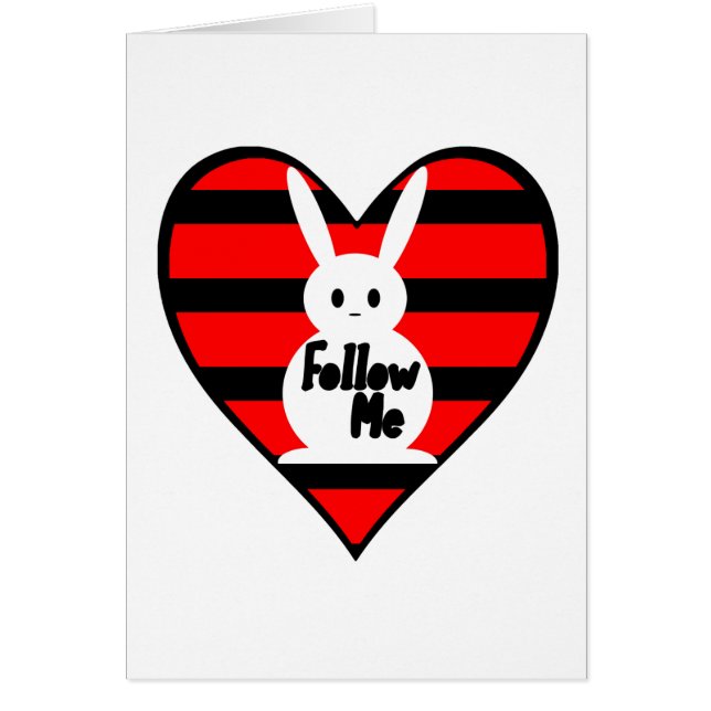 Follow Me White Rabbit (Front)