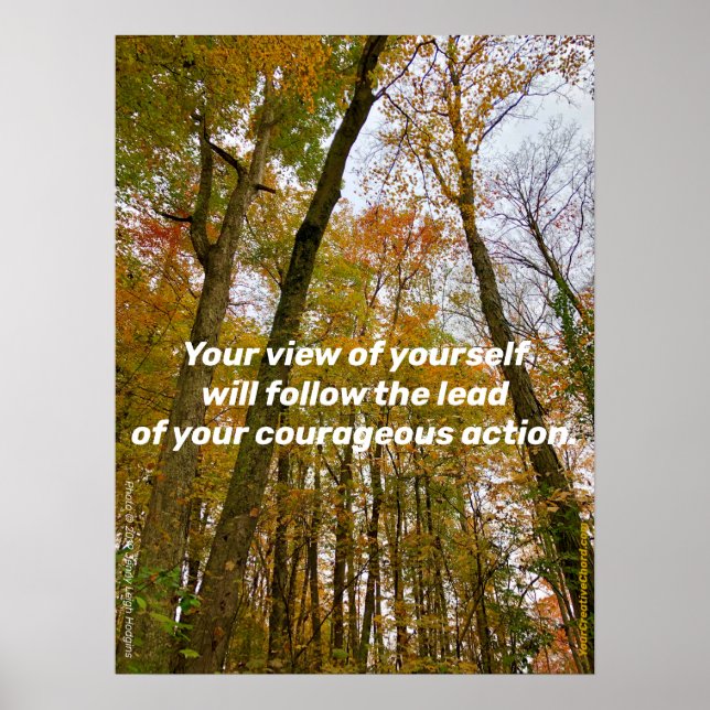 Follow the lead of your courageous action poster (Front)