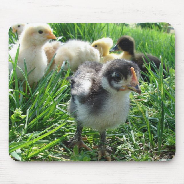 Follow The Leader Mouse Pad (Front)