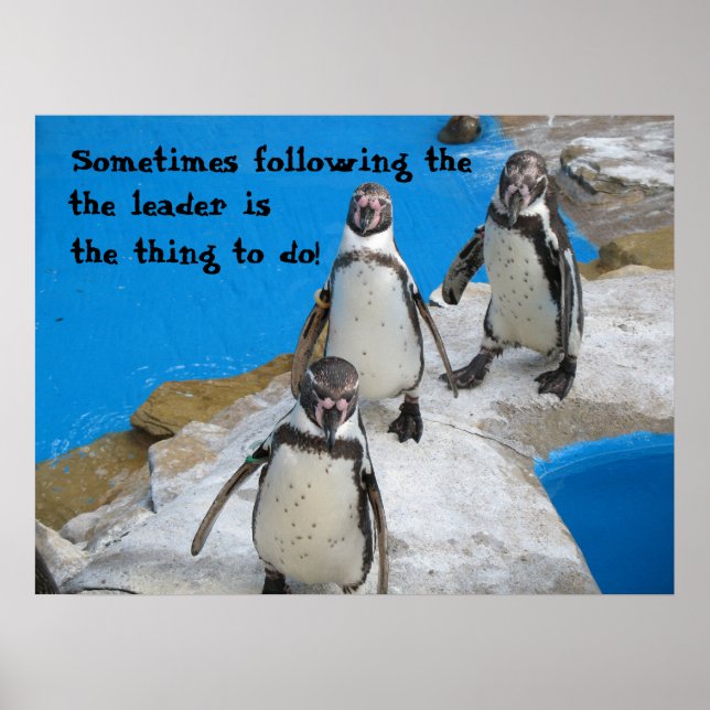 Follow the Leader Poster (Front)