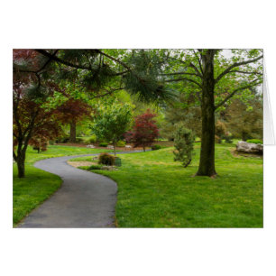 Follow The Path Pano