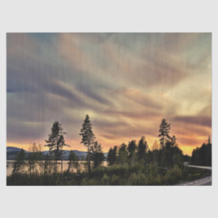 Follow the Sun Tissue Paper