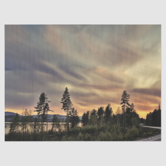 Follow the Sun Tissue Paper (Front)