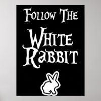 Follow the White Rabbit