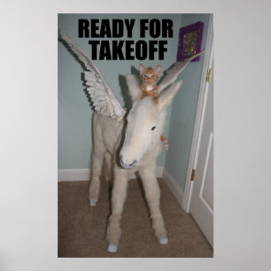 Follow your dreams.  Even if you're a cat. Poster