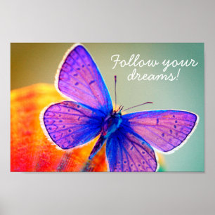 Follow your dreams poster