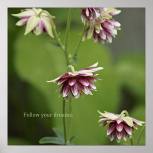 Follow Your Dreams - Square Poster