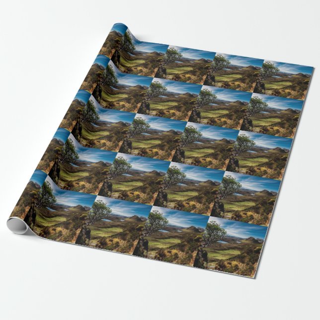 Follow your dreams! wrapping paper (Unrolled)