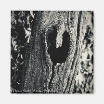 "Follow Your Heart" Magnet