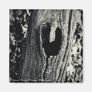 "Follow Your Heart" Magnet