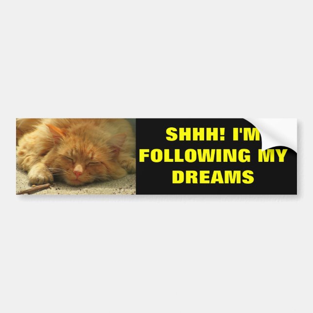 Following My Dreams Sleeping Kitty Bumper Sticker (Front)