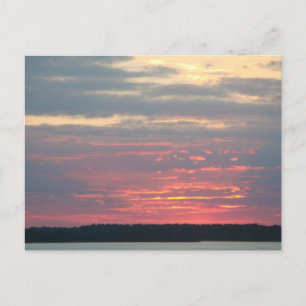Folly Beach South Carolina Postcard