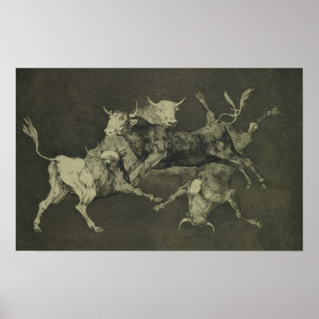 Folly of the Bulls Poster (Front)