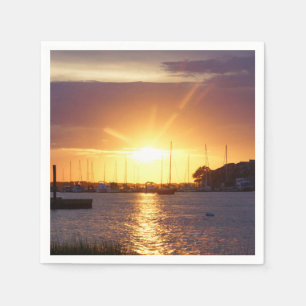 Folly River Sunrays Napkin