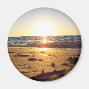 folly sunrise magnet