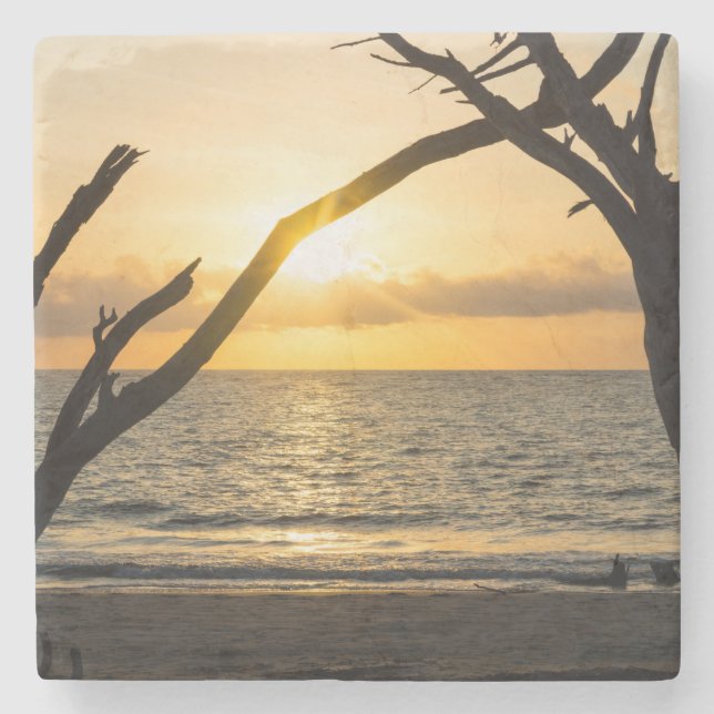 Folly Sunrise Tree Silhouette Stone Coaster (Front)