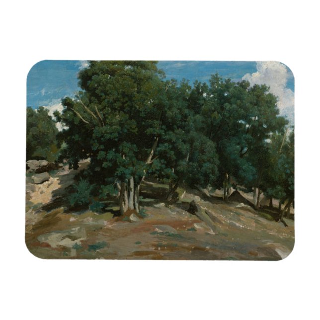 Fontainebleau Oak Trees Magnet (Horizontal)