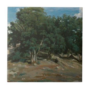 Fontainebleau Oak Trees Tile