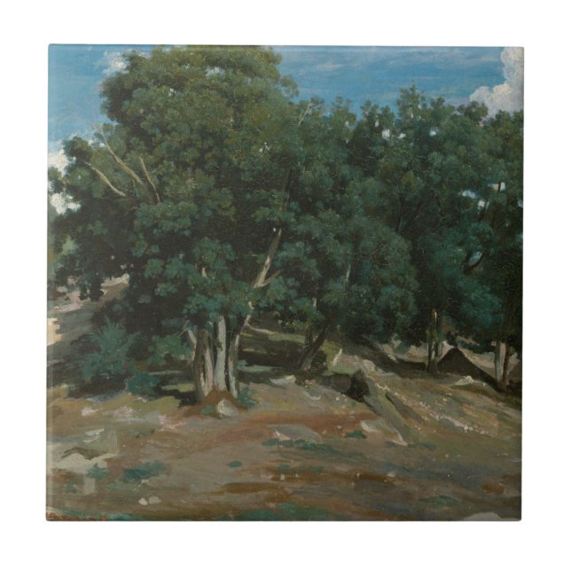 Fontainebleau Oak Trees Tile (Front)