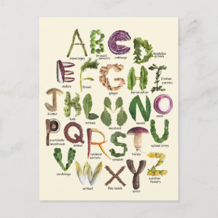 Food Alphabet Postcard