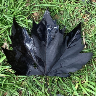 Food and Beverage Label Set .