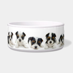 Food Bowl - Biewer Terrier Puppy