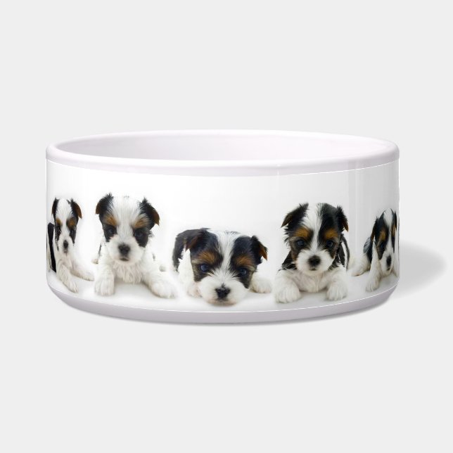 Food Bowl - Biewer Terrier Puppy (Front)
